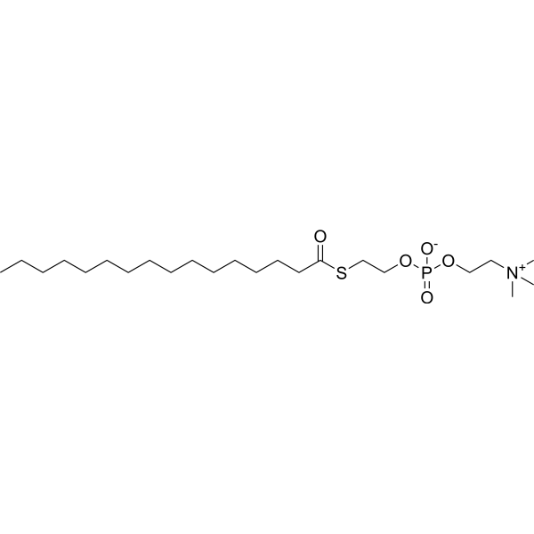 2-Hexadecanoylthio-1-ethylphosphorylcholine 60793-01-3